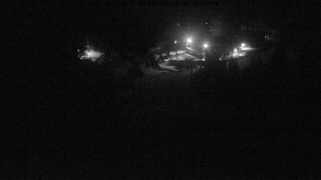 Brundage Bear Cam webcam
