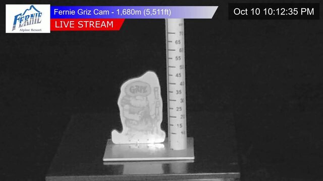 Fernie Griz Cam Snowstake webcam