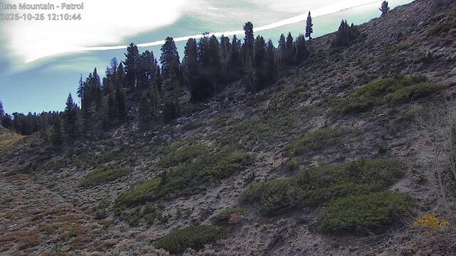 June Mountain June Patrol webcam