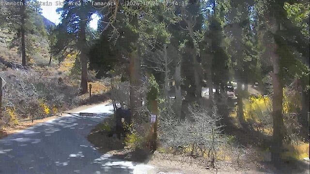 Mammoth Tamarack Cross Country webcam