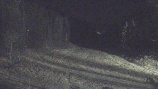 Mission Ridge Mimi webcam