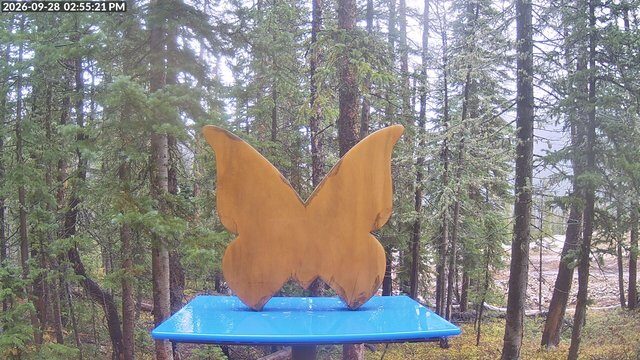 Monarch Storm Cam Snowstake webcam