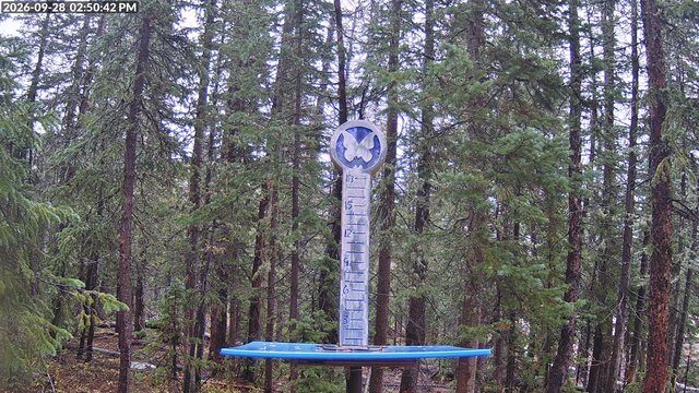 Monarch Powder Cam Snow Stake webcam