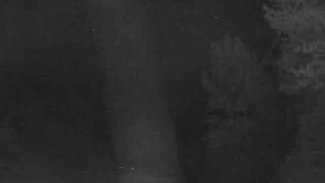 Montana Snowbowl Base webcam