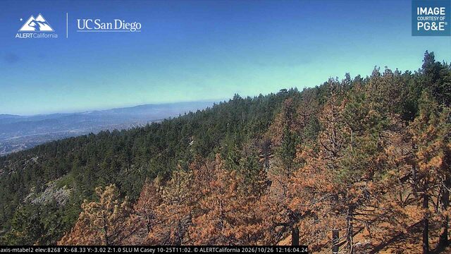 Mount Pinos Mt Abel 2 webcam