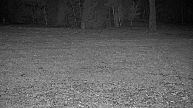 Pajarito Top Cam webcam
