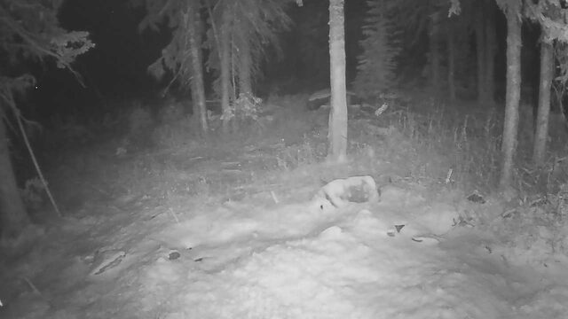 Red Mountain Rosario Snow Stake webcam