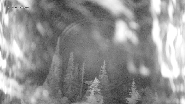 Revelstoke Ripper webcam