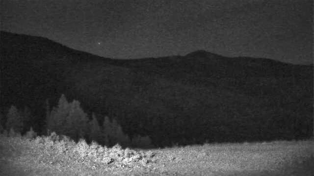 Schweitzer Rowdy Grouse webcam
