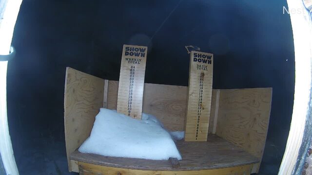 Showdown Snow Total Board Snow Stake webcam