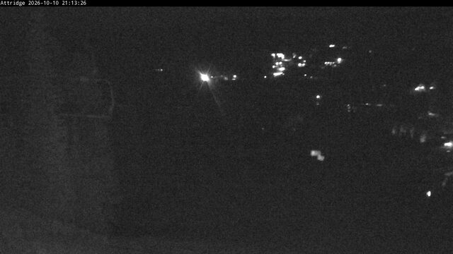 Silver Star Attridge webcam