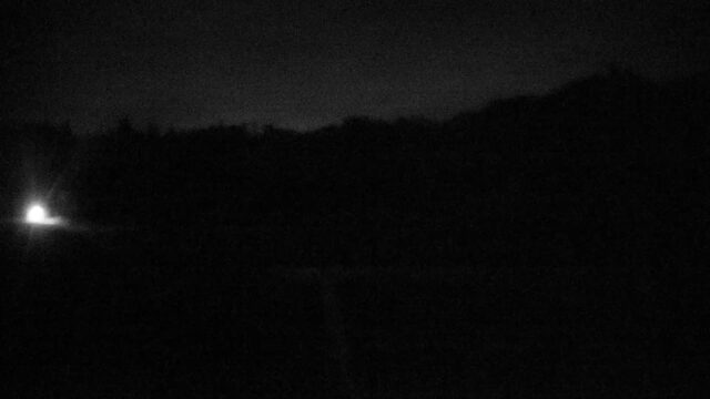 Snowbasin Base of Wildcat webcam
