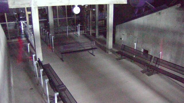 Snowbird Tram Bullpen webcam