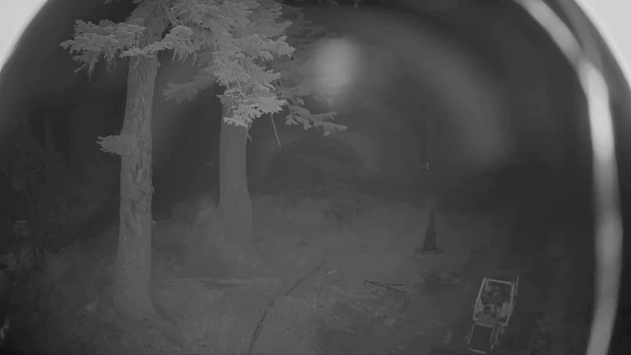 Summit at Snoqualmie Alpental Mid-Mountain webcam