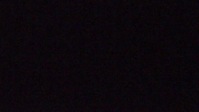 Timberline Palmer/Silcox webcam