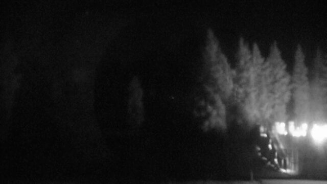 Timberline Pucci webcam