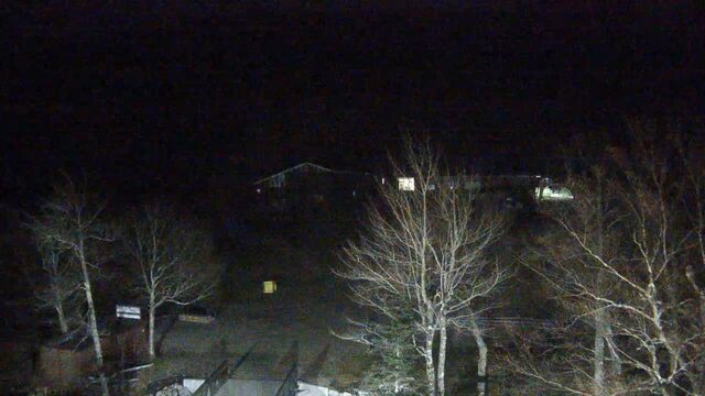 Wildcat Base Lodge webcam