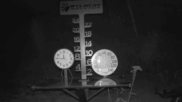 Wildcat Snowstake webcam