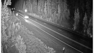 Willamette Pass HWY 58 Willamette Pass West webcam