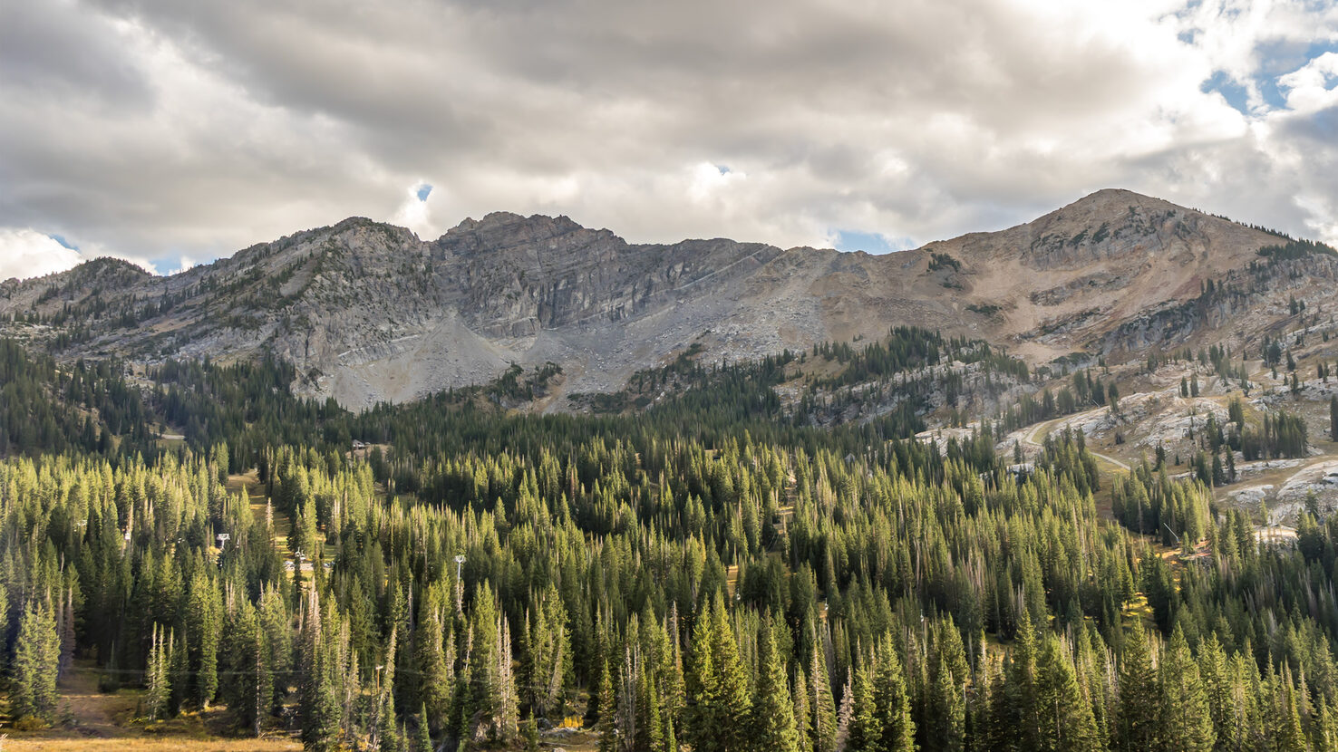 Alta Albion Basin webcam