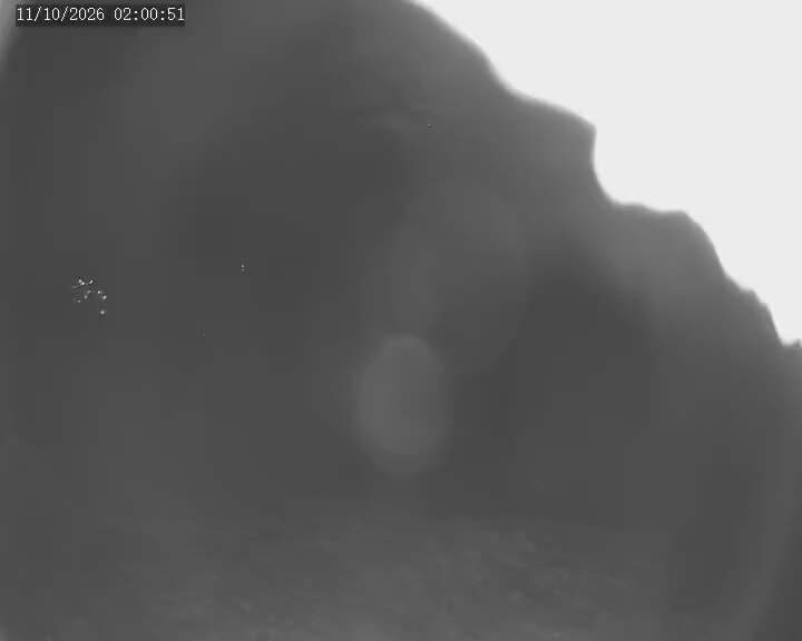 Apex Mountain Ridge Run webcam