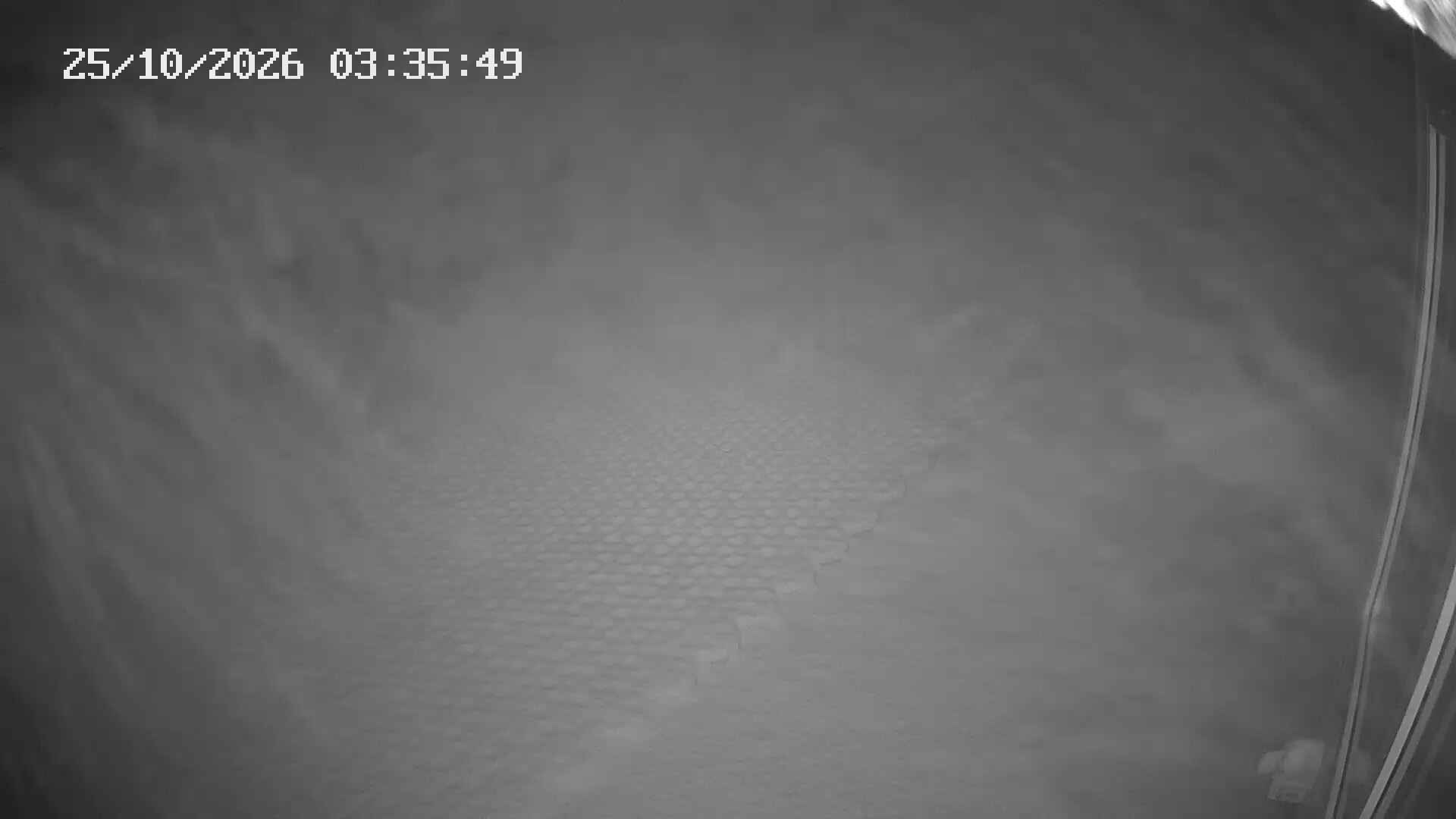 Bjelasnica Summit webcam