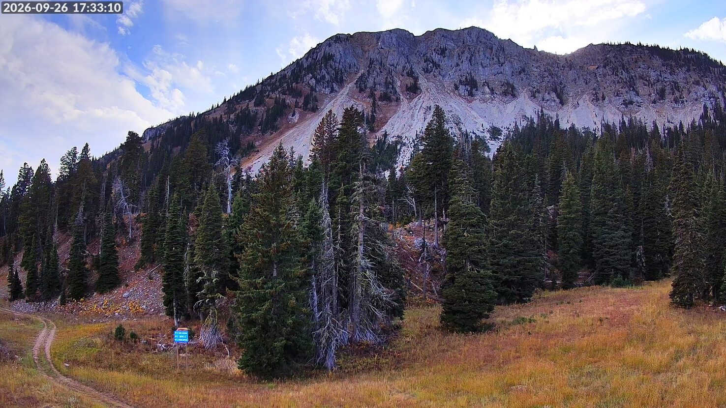 Bridger Bowl Alpine Apron webcam