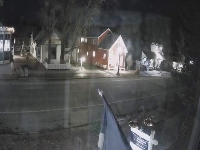 Crested Butte Elk Avenue webcam
