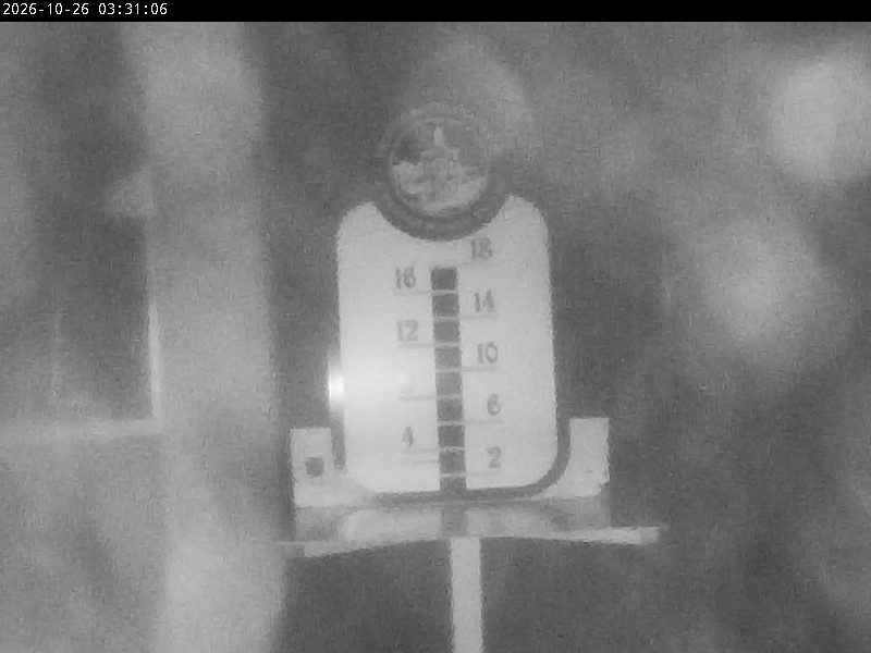 Crested Butte Town Snow Stake webcam