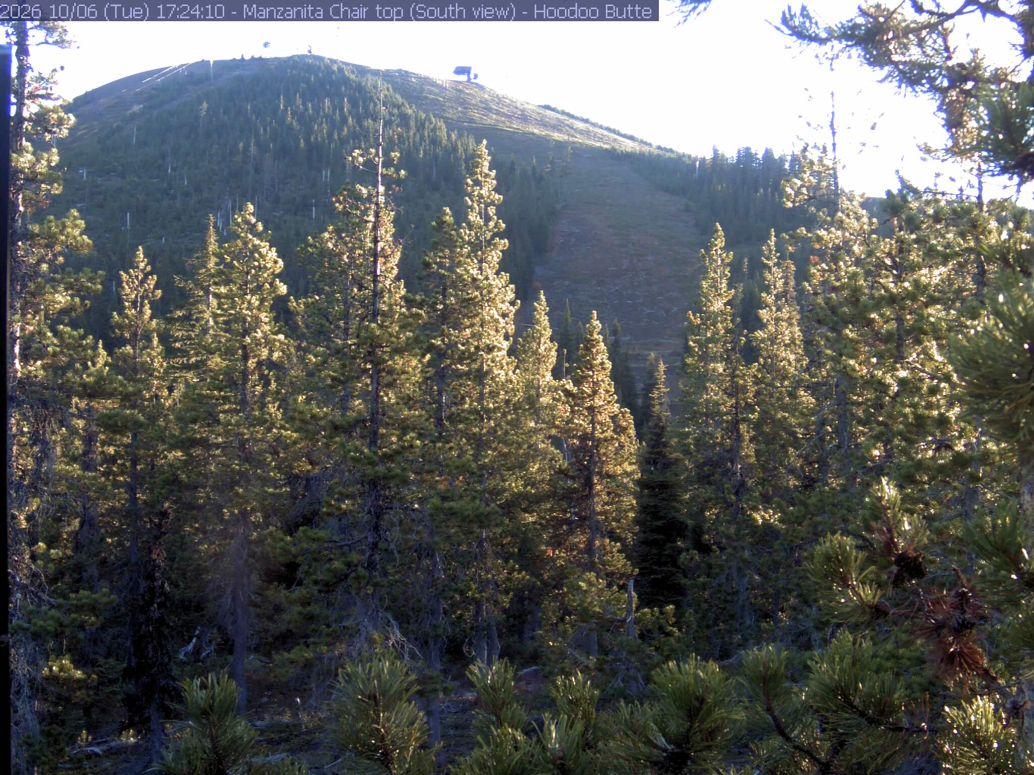 Hoodoo Manzanita Chair webcam