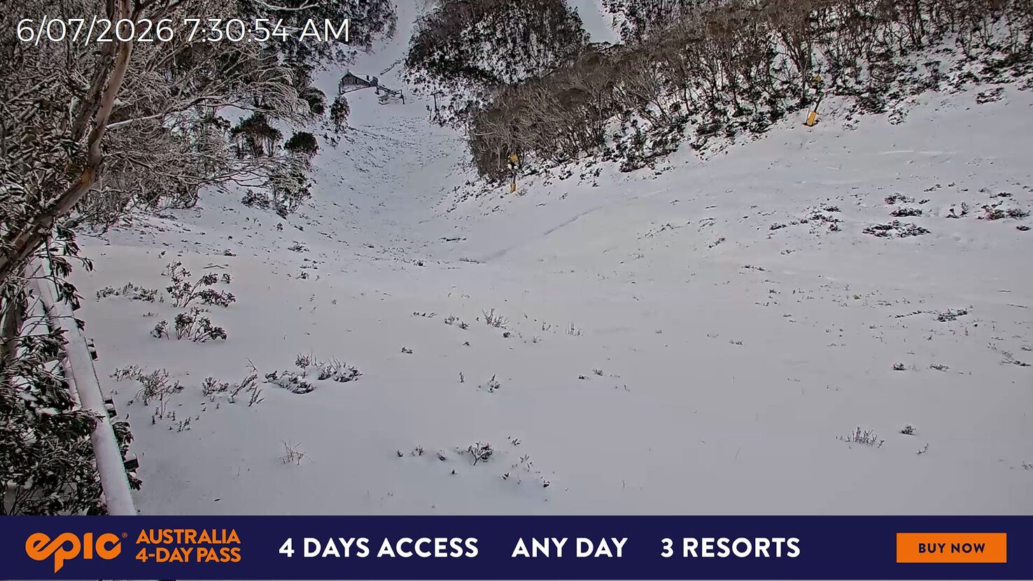 Hotham BH Snake Gully webcam