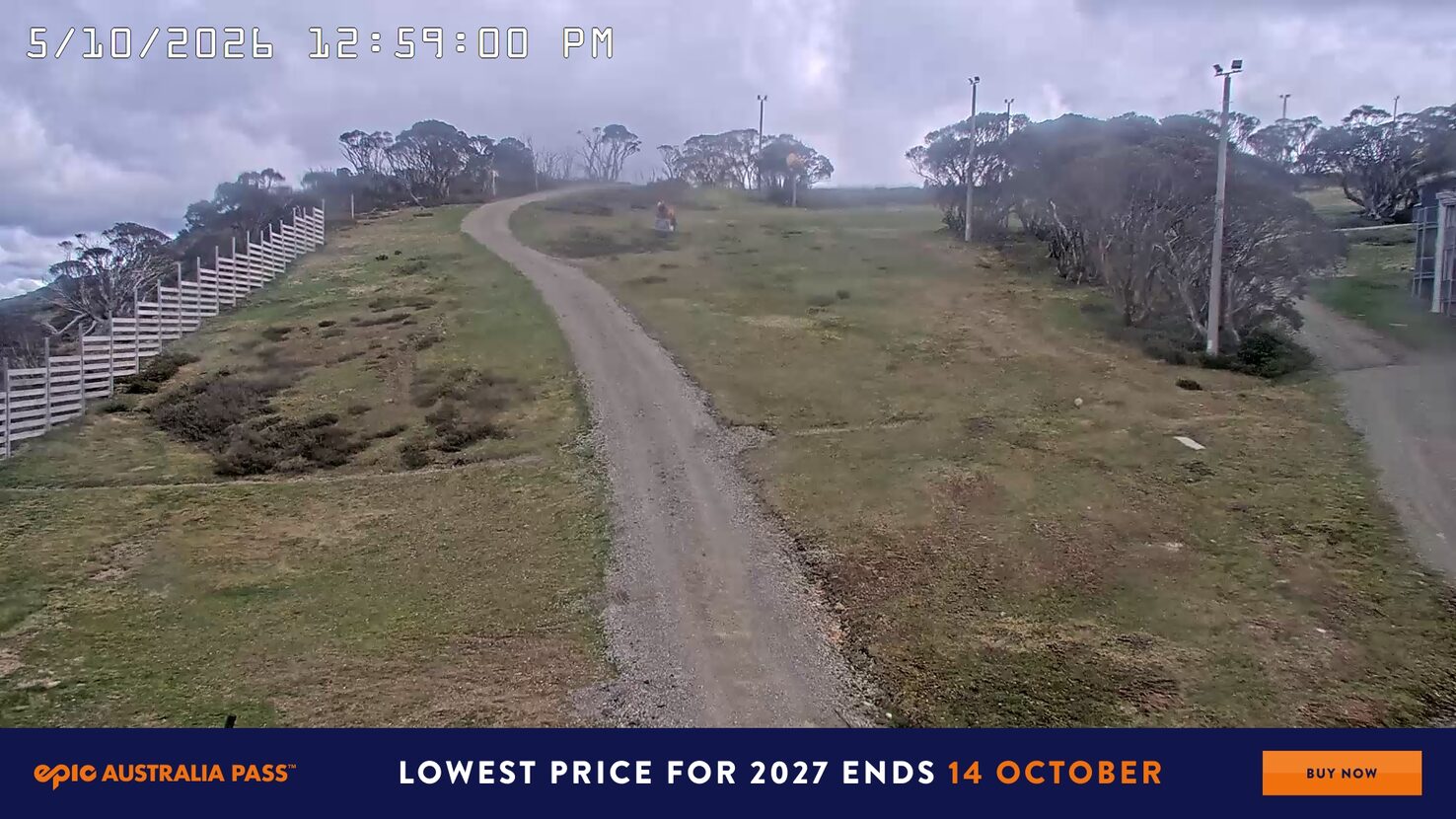 Hotham Big D webcam