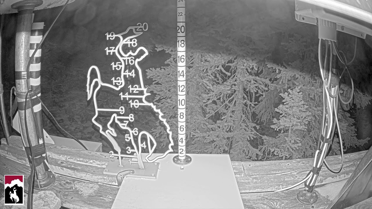 Jackson Hole Raymer Snow Stake webcam