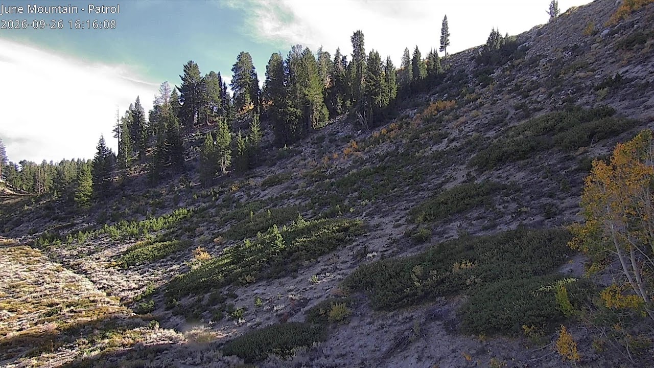 June Mountain June Patrol webcam