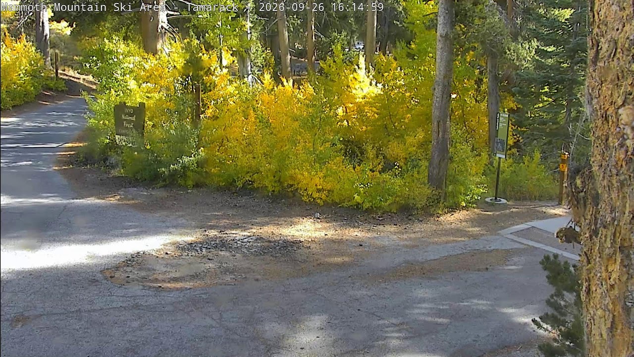 Mammoth Tamarack Cross Country webcam