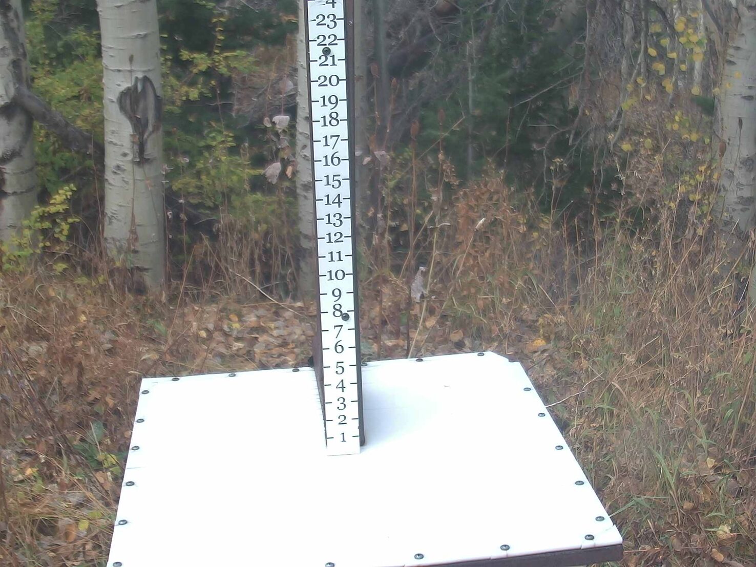 Park City Snowstake webcam