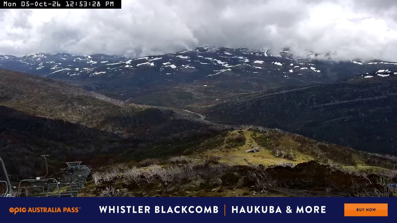 Perisher Cow webcam