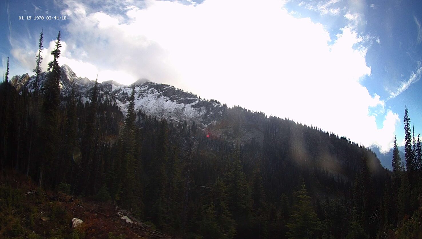 Revelstoke Ripper webcam