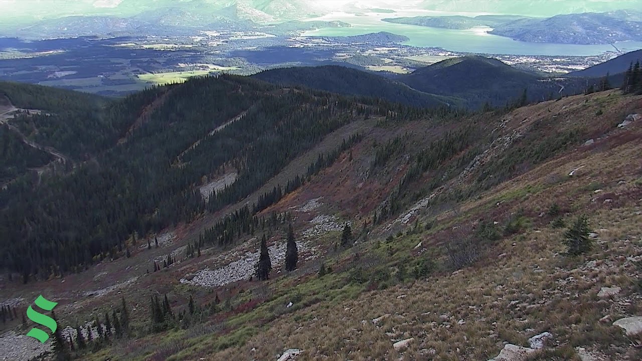 Schweitzer Colburn Triple webcam