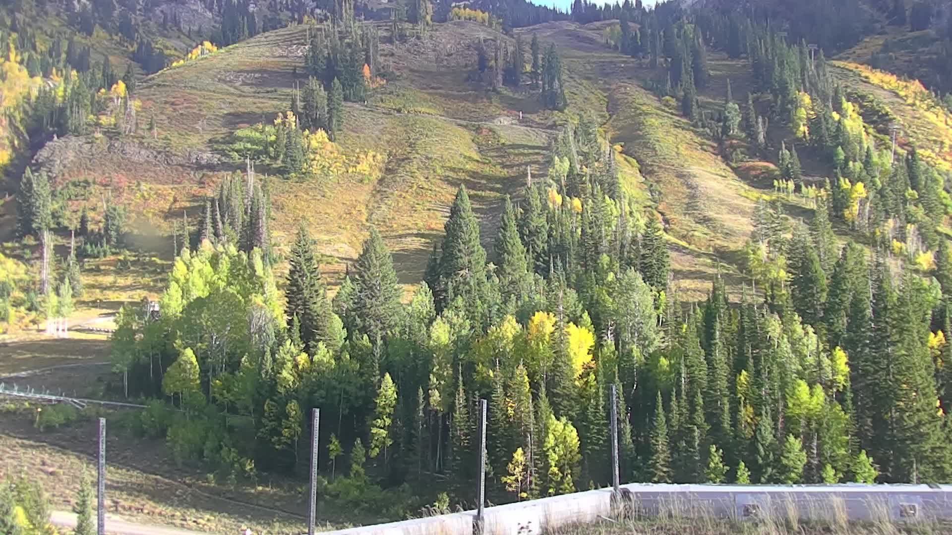 Snowbird Peruvian Gulch webcam