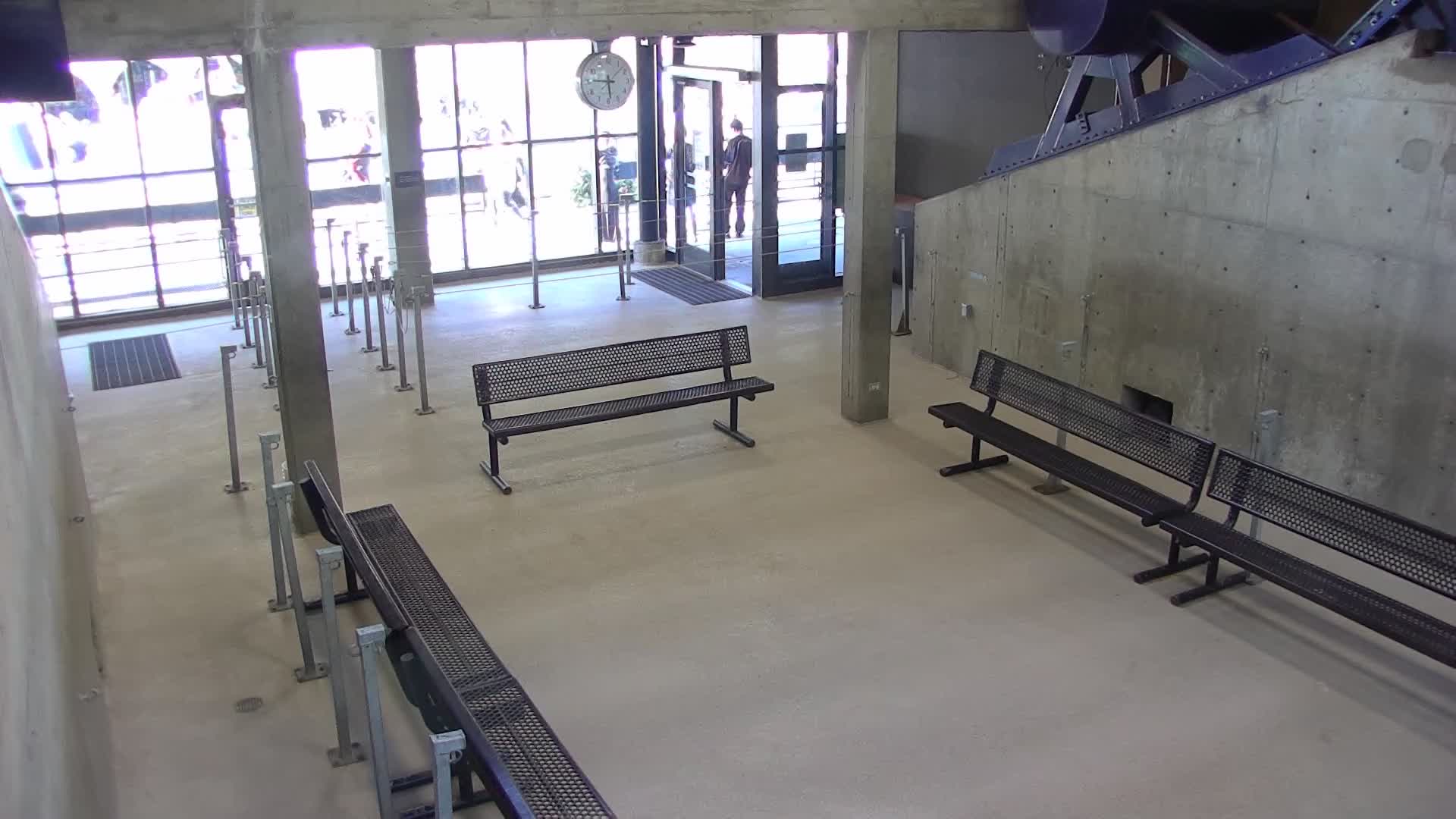 Snowbird Tram Bullpen webcam