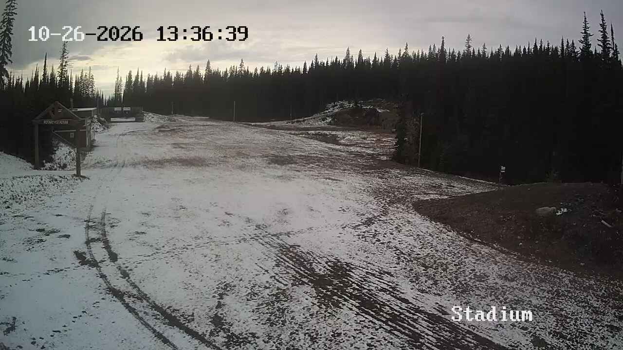 Sovereign Lake Stadium webcam