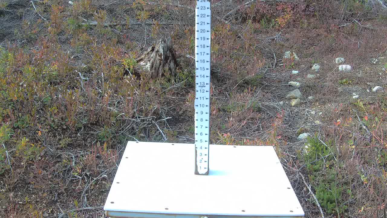 Stevens Pass Snow Stake webcam