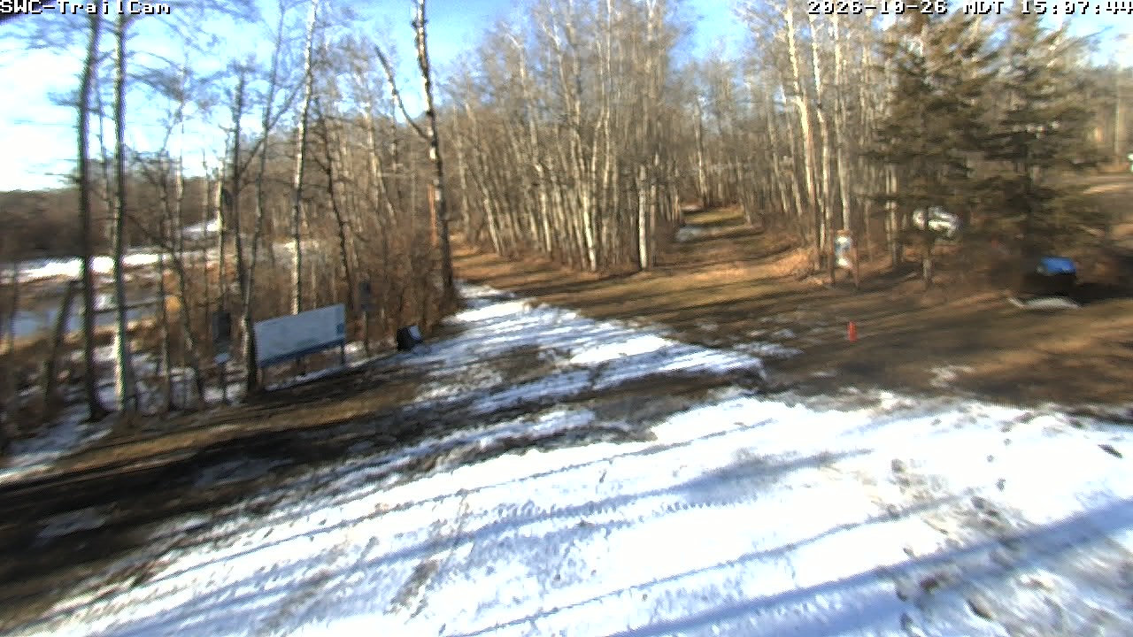 Strathcona Trail Cam webcam
