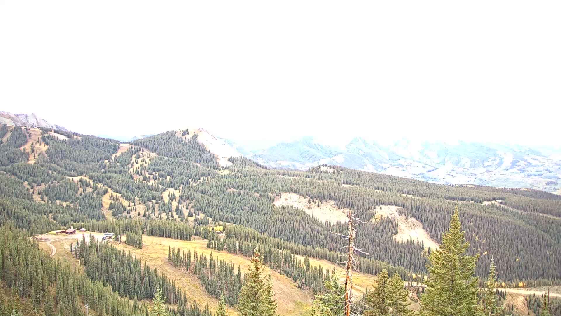 Telluride See Forever webcam