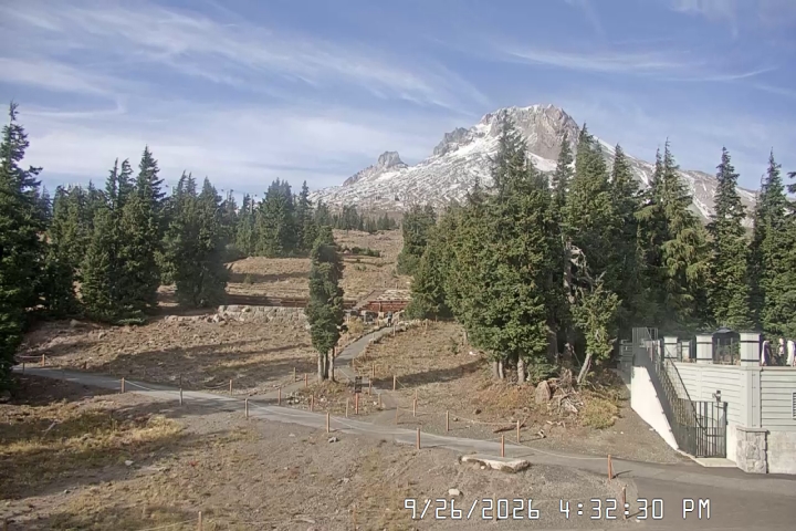 Timberline Pucci webcam
