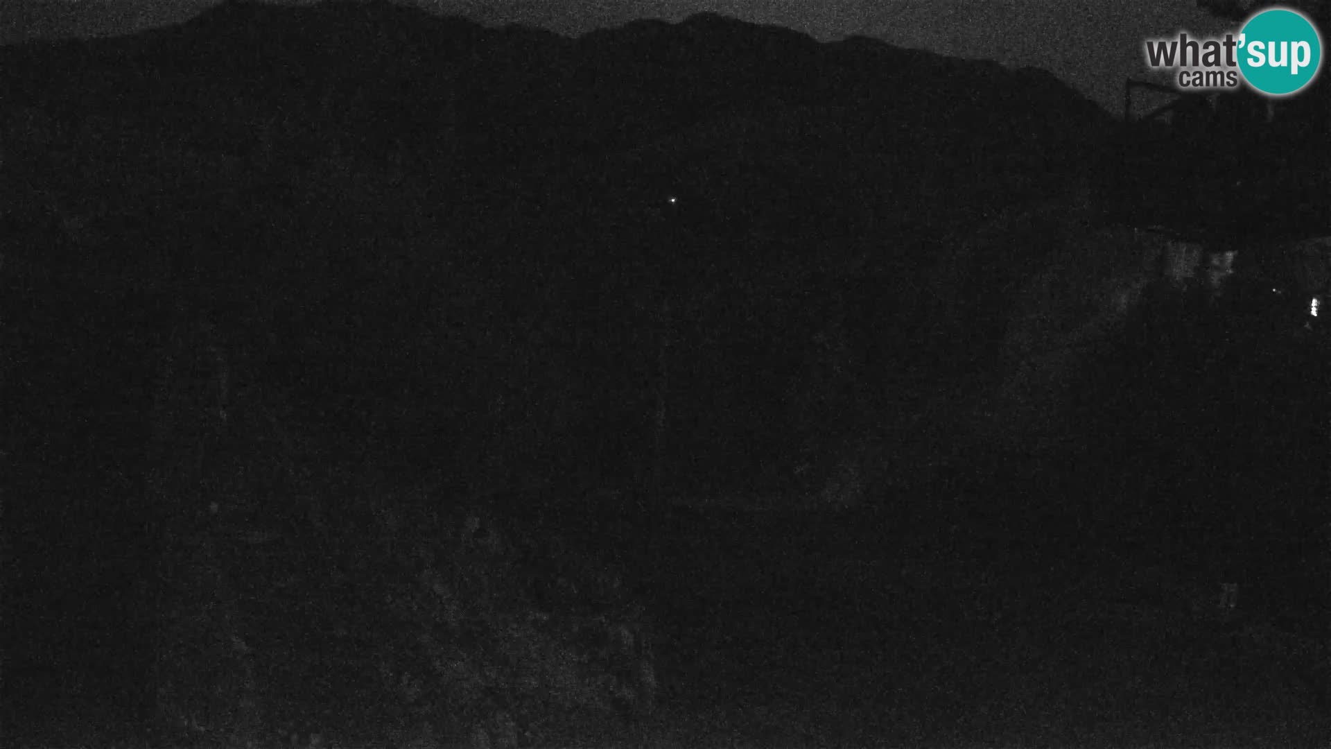 Vogel Brunarica webcam
