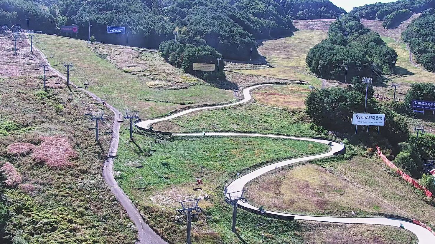 WelliHilli Park Alpha webcam