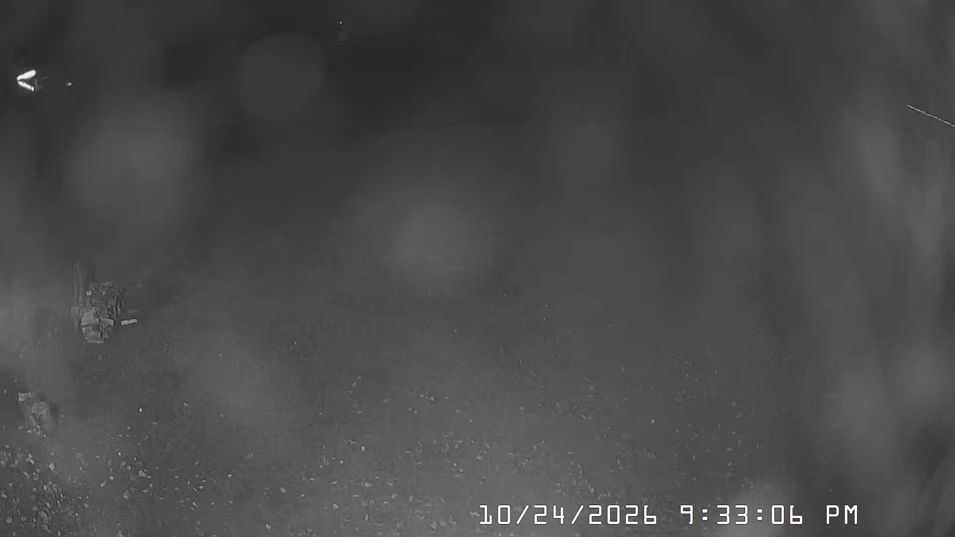 Whitecap Webcam webcam