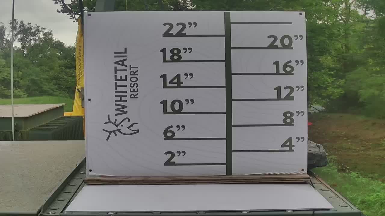 Whitetail Snow Stake webcam